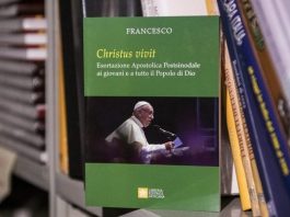 El Vaticano publica la Exhortación Apostólica Postsinodal Christus vivit
